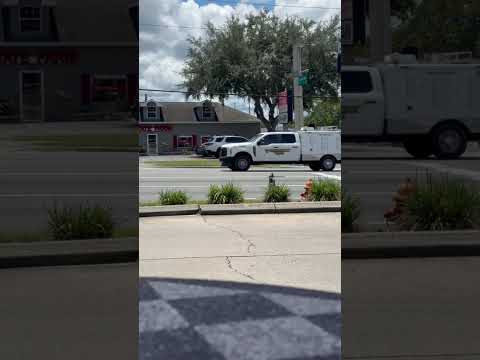 Citrus County Animal Control