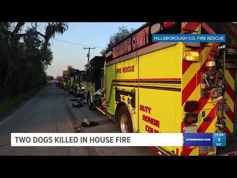 2 dogs dead in Hillsborough County house fire