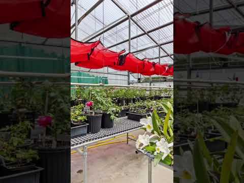 #sustainableliving #businessforsale #floridarealestate #citruscounty #greenhousefarming #homestead