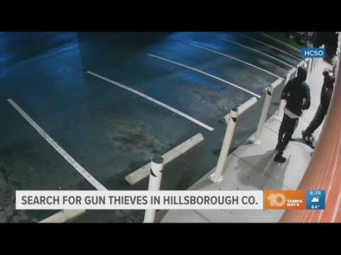 Hillsborough County deputies search for gun thieves