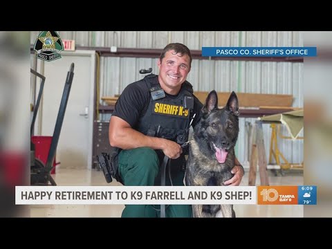 Two Pasco County K-9s celebrate retirement