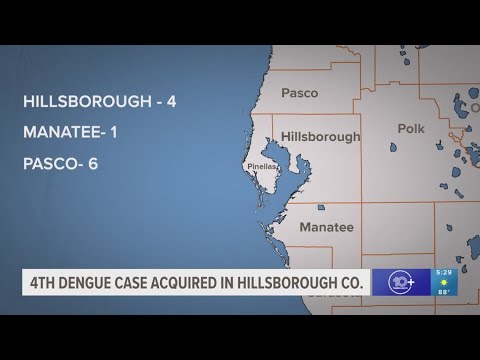 4th case of dengue fever reported in Hillsborough County