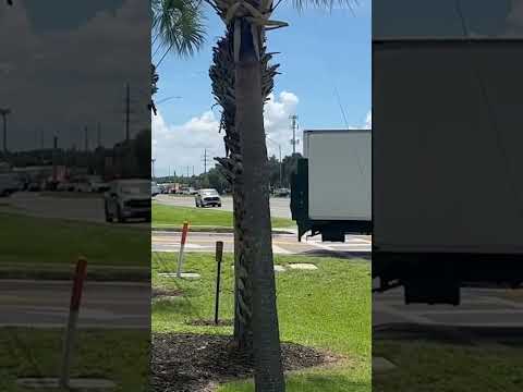 Fire spotted along US-301 in Hillsborough County