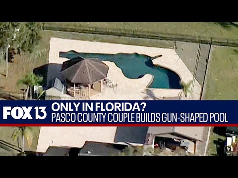 Aerial view: Gun-shaped pool in Pasco County, Florida backyard