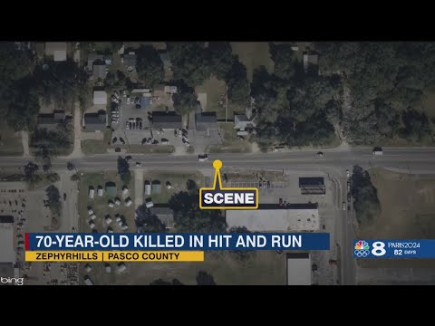 Troopers search for driver who fatally hit 70-year-old man in Pasco County