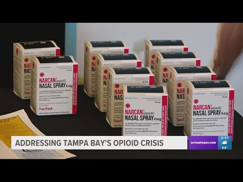 Hillsborough County hosts Opioid Summit amid deadly drug epidemic