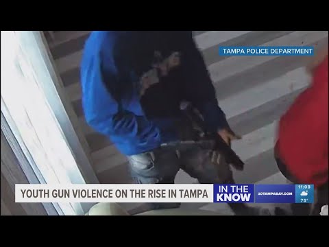 Tampa police chief, Hillsborough state attorney addresses youth gun violence