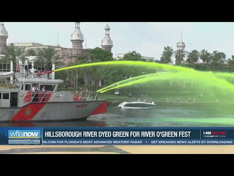 Hillsborough River goes green for Tampa&#39;s River O&#39;Green Fest