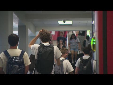 Hillsborough County Public Schools&#39; millage referendum to begin this academic year