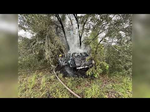 5 hospitalized, dog rescued in pair of Hernando County crashes Saturday morning