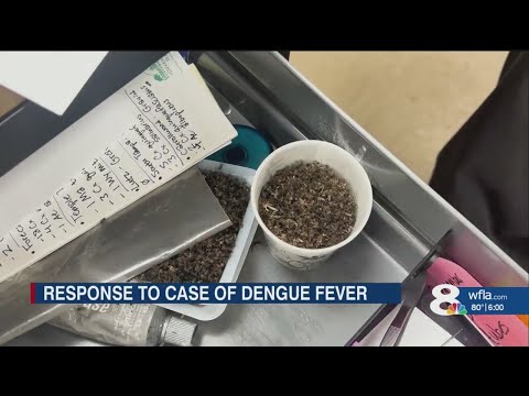 Dengue Fever Case Confirmed in Hillsborough County | Emergency Mosquito Spraying Underway