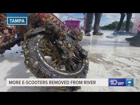 22 more e-scooters removed from the Hillsborough River