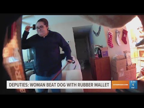 Hillsborough County woman accused of beating dog with rubber mallet