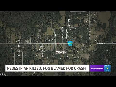 Fog blamed for deadly crash in Hillsborough County