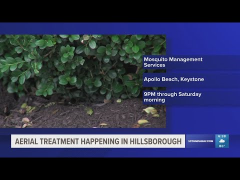 Hillsborough County to spray for mosquitoes Friday night