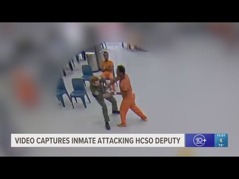 Video captures inmate attacking deputy at Hillsborough County jail