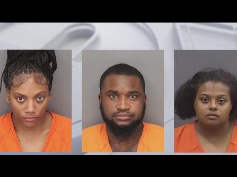 Hillsborough deputies bust retail theft ring