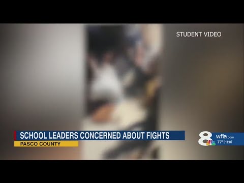 Pasco County school leaders concerned about fights