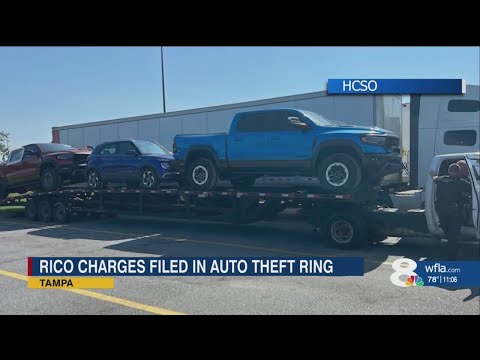 Attorney questions RICO charges in Hillsborough multimillion dollar car theft ring case