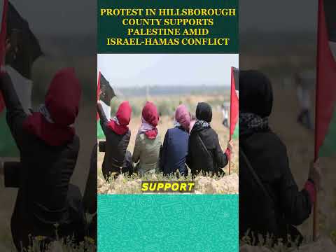 Protest in Hillsborough County Supports Palestine Amid Israel Hamas Conflict  shorts  2023 10 09