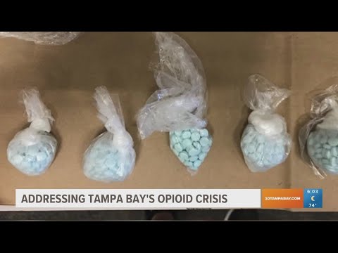 Hillsborough County discusses how to handle opioid crisis