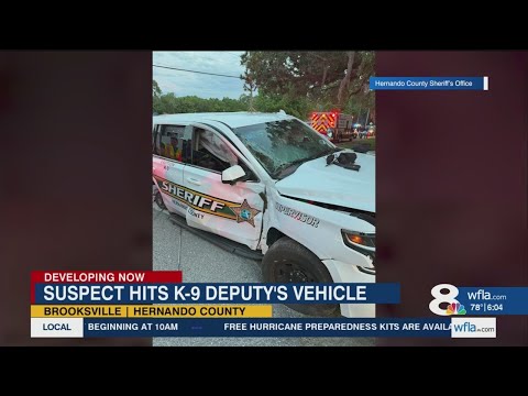 Fleeing suspect collides with Hernando sheriff&#39;s office vehicle with K-9 inside