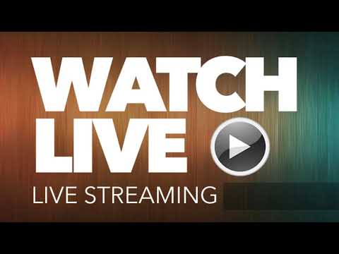 Florida Wave Vs Hernando County Hawks | EAFL AAA-Division South live stream