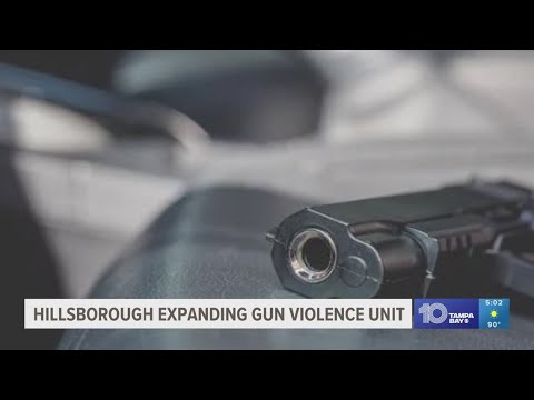Hillsborough expands gun violence unit