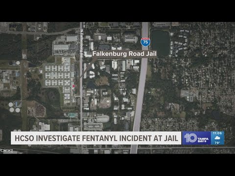 Hillsborough deputy taken to hospital after possible fentanyl exposure, sheriff says