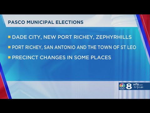 Pasco County&#39;s municipal elections are here. What to know