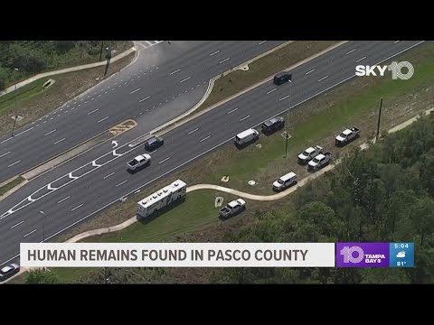 Deputies: Human remains found in Pasco County woods