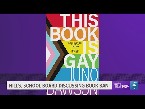 Hillsborough County School Board discusses banned book &#39;This Book is Gay&#39;